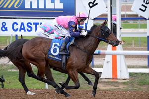 Uluru Stud's hot form continues